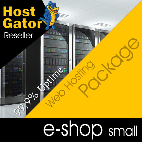 E-shop hosting